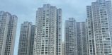 海慧春天